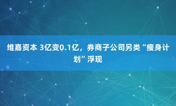 维嘉资本 3亿变0.1亿，券商子公司另类“瘦身计划”浮现