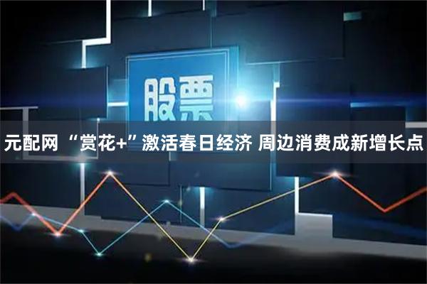 元配网 “赏花+”激活春日经济 周边消费成新增长点