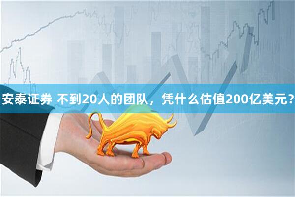 安泰证券 不到20人的团队，凭什么估值200亿美元？
