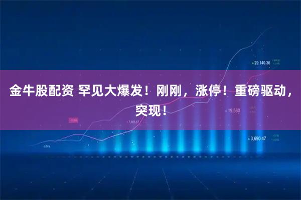金牛股配资 罕见大爆发！刚刚，涨停！重磅驱动，突现！