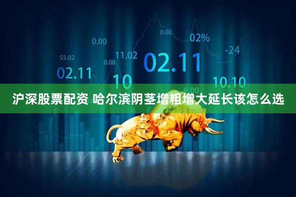 沪深股票配资 哈尔滨阴茎增粗增大延长该怎么选