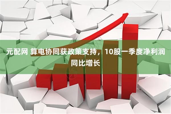 元配网 算电协同获政策支持，10股一季度净利润同比增长