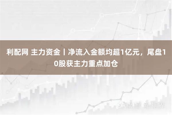 利配网 主力资金丨净流入金额均超1亿元，尾盘10股获主力重点加仓