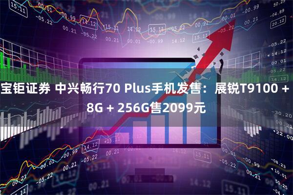 宝钜证券 中兴畅行70 Plus手机发售：展锐T9100 + 8G + 256G售2099元