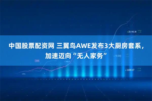 中国股票配资网 三翼鸟AWE发布3大厨房套系，加速迈向“无人家务”