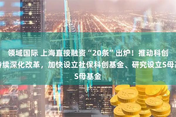 领域国际 上海直接融资“20条”出炉！推动科创板持续深化改革，加快设立社保科创基金、研究设立S母基金