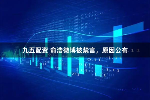 九五配资 俞浩微博被禁言，原因公布